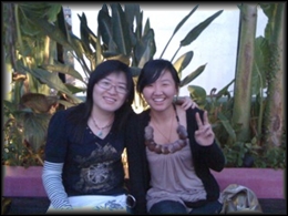 Palmz rooftop